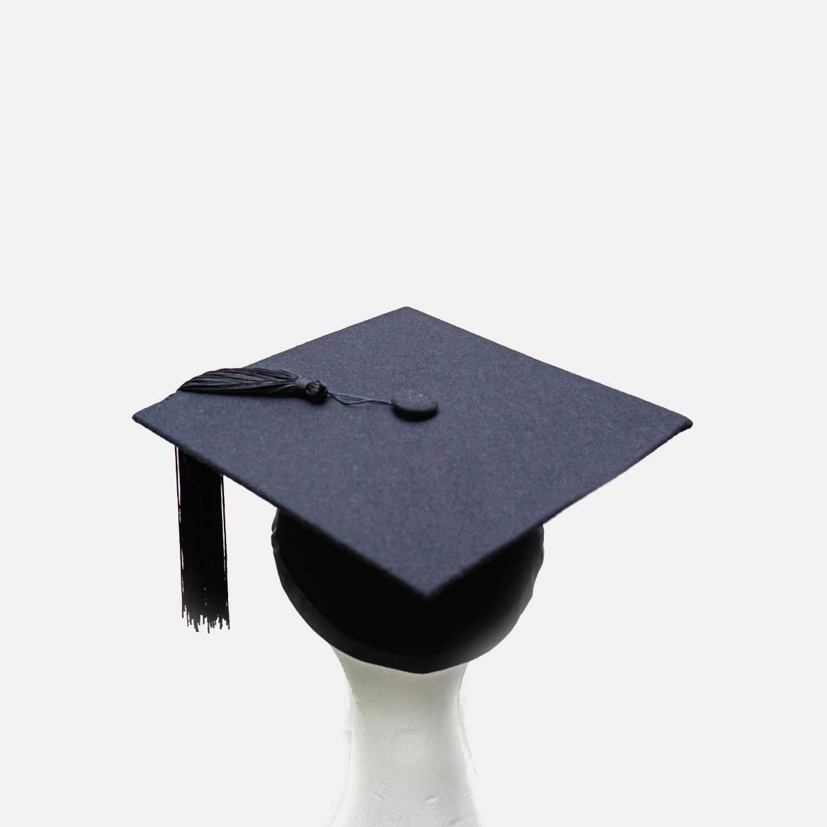 Premium Photo | University graduate in graduation gown and mortarboard  celebrates in a virtual graduation ceremony